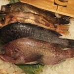 Sengakuji Monzem Monya - 富山地魚（メバル4種）