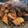 炭火ホルモン焼肉 ひゃくてん 溝の口
