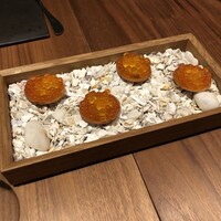 ル スプートニク - 