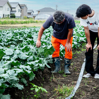 全国の農家を直接訪れて見つけた良質で栄養価の高い「野菜」