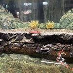 札幌かに本家 - 店内雰囲気