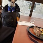 레스토랑 GUMBO - 