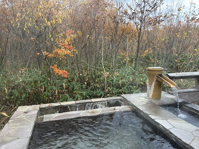 角館山荘侘桜 - 西明寺（料理旅館）の写真