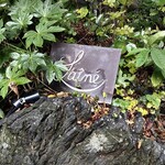 LAINE INAMURAGASAKI - 