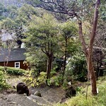 LAINE INAMURAGASAKI - 