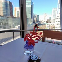 東京會舘 銀座スカイラウンジ - 席からの景色