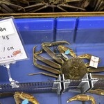 割鮮しんとく - 初競の30万のズワイガニ