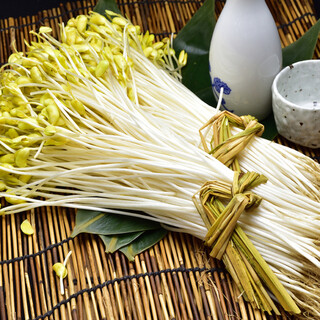 居酒屋 神田っ子_2