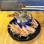 ニカイノオアシス - 