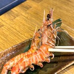 ニカイノオアシス - 