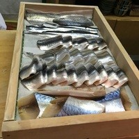 宿木 - 光り物が凄い！！