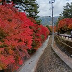 湯宿 梅ぞ乃 - 河口湖もみじ回廊