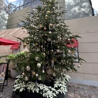 アニヴェルセル カフェ - 