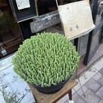 Rapport antique cafe - 