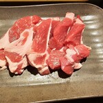 ヤマダモンゴル - ショルダー