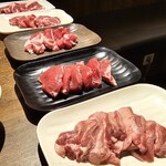 ヤマダモンゴル 千葉津田沼店 - 比較できる感じで一気に持ってきます