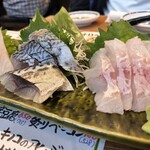 釣宿酒場マヅメ - 