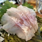 釣宿酒場マヅメ - 