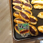 どんぐり - メニュー　陳列棚