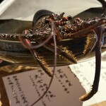 温石 - 目が合います（笑）