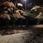 Sonmin Shokudo - 夜の紅葉（店外）