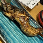 熟成魚場 福井県美浜町 - 