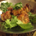 馬来風光美食 - 揚げ餃子