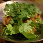 馬来風光美食 - パクチー別注でパクチー揚げ餃子に‥‥