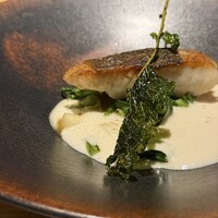 SIO syuji hijikuro - 