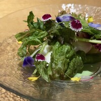 SIO syuji hijikuro - 