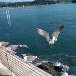 南三陸ホテル観洋 - 