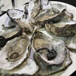 ラーメン 達磨食堂 - 