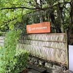 cafe shizukawa - 