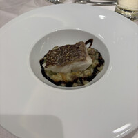 LAZOR GARDEN DINING - 