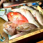 なきざかな 新宿店はなれ - 