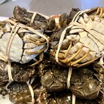 館山美食倶楽部 - オス・メス