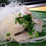 寿司光 - 141120　白身こぶ〆