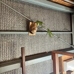 ブヒブヒ - 