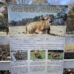 清泉寮 ファームショップ - 