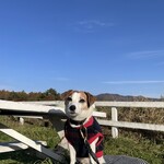 清泉寮 ファームショップ - 