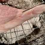 炭火焼肉 たくみ - 