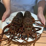 日本料理FUJI - 伊勢海老