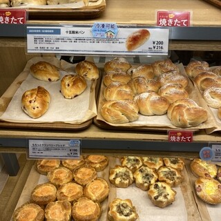 ハウネベーヤー_1