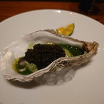 スガラボヴィー - 