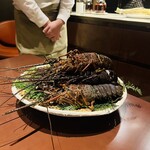 スガラボヴィー - 