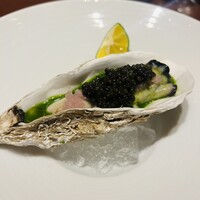 スガラボヴィー - 