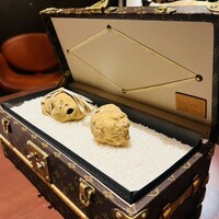 スガラボヴィー - 