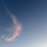 生姜料理 しょうが - 