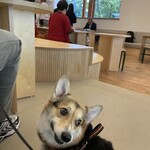 Hygge by ØC - 愛犬