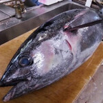 勝浦漁港 にぎわい市場 - 